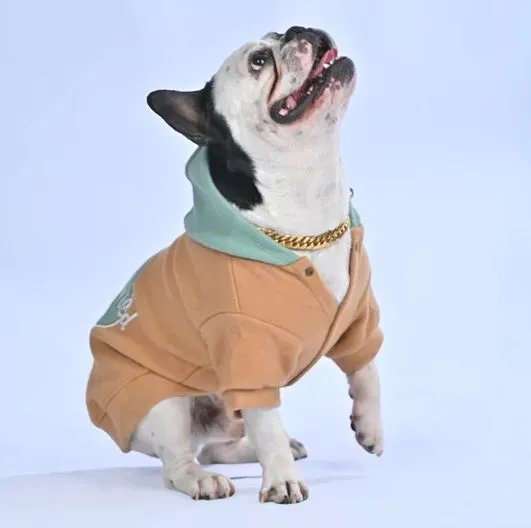Wintersy™ - French Bulldog Soft Hoodie (WL03)