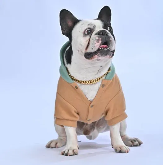 Wintersy™ - French Bulldog Soft Hoodie (WL03)